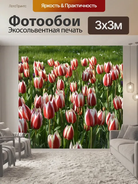 Фотообои Цветы