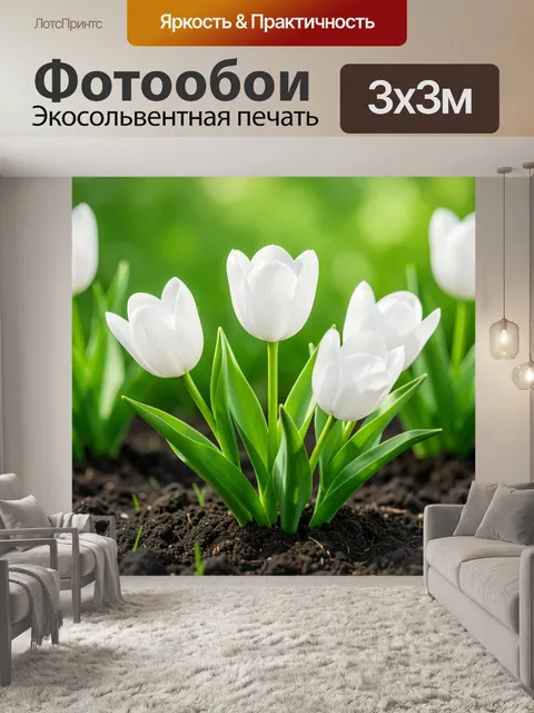 Фотообои Белые тюльпаны в саду