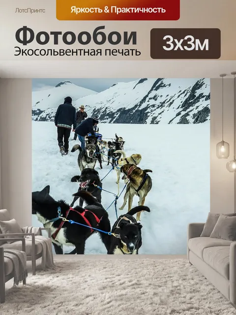 Фотообои Ездовые собаки