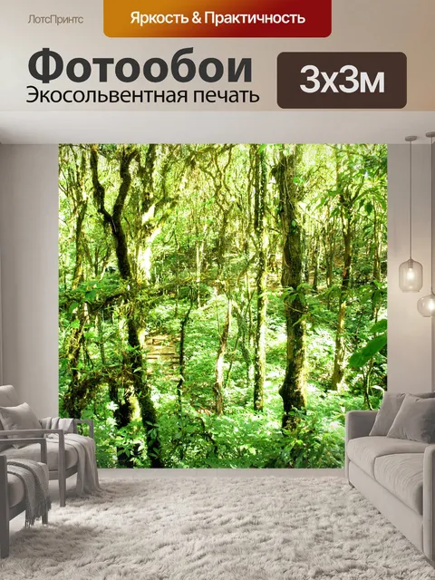 Фотообои Природа тропический лес дои Интанон наци