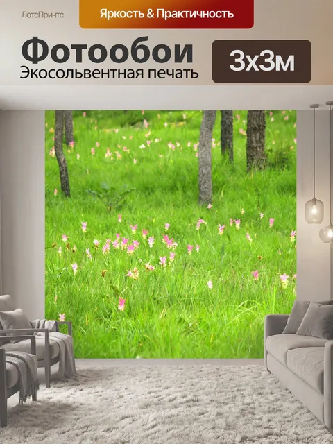 Фотообои Сиам тюльпан цветок Па Хин Нгам