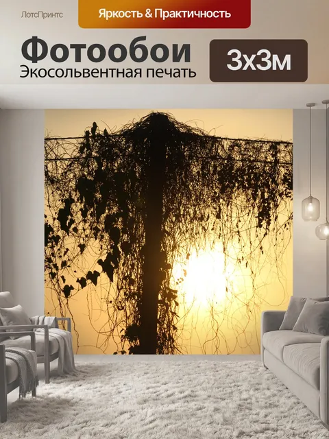 Фотообои Закат