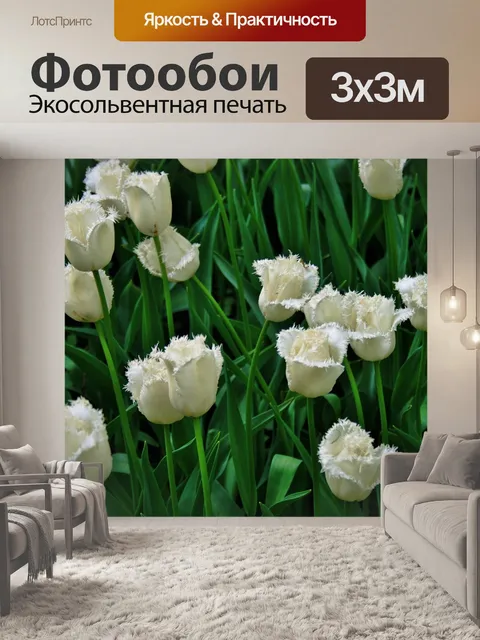 Фотообои ботанические сады, москва