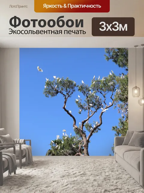 Фотообои Птицы