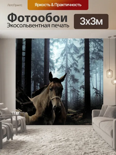 Фотообои Лошади