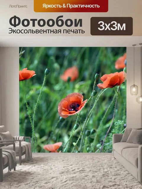 Фотообои Мак