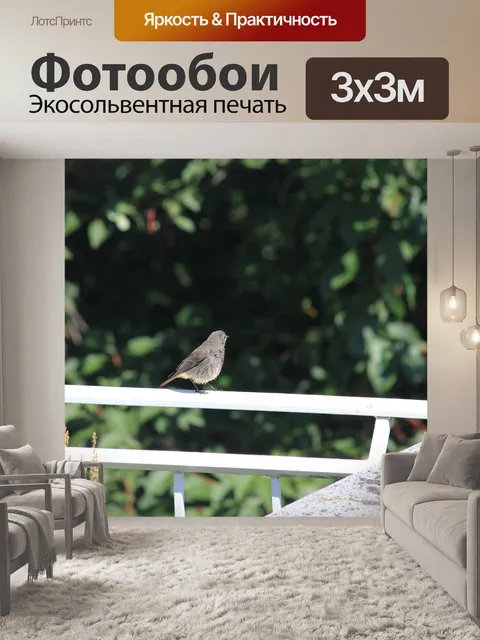 Фотообои Птица