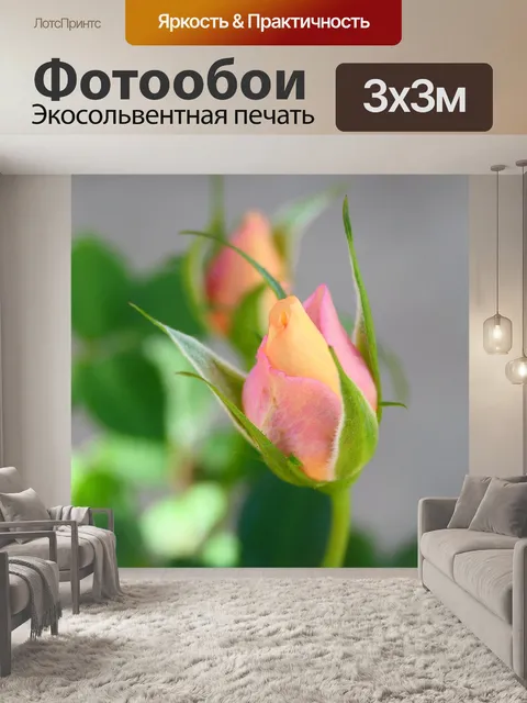 Фотообои Бутон розы