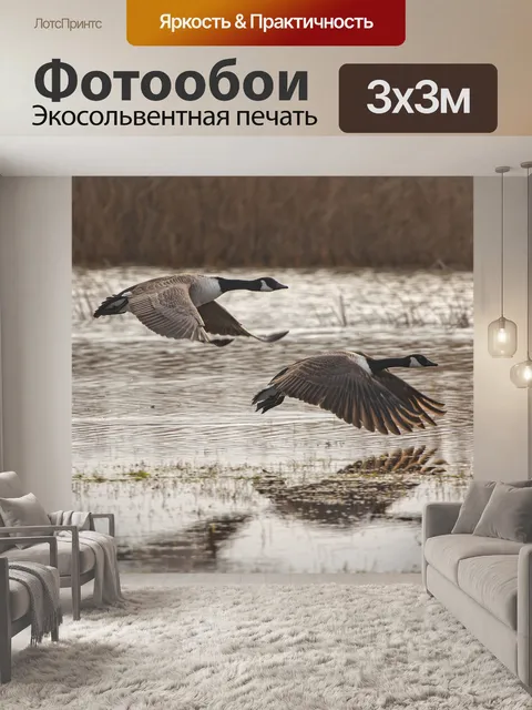 Фотообои Гуси
