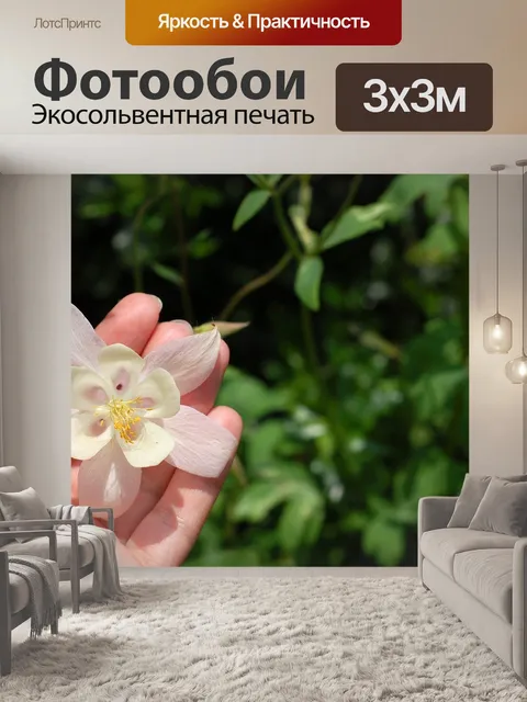 Фотообои Цветок
