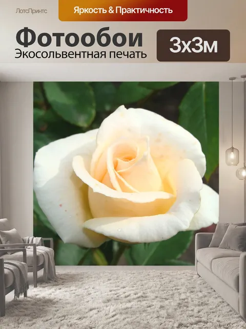 Фотообои Цветы
