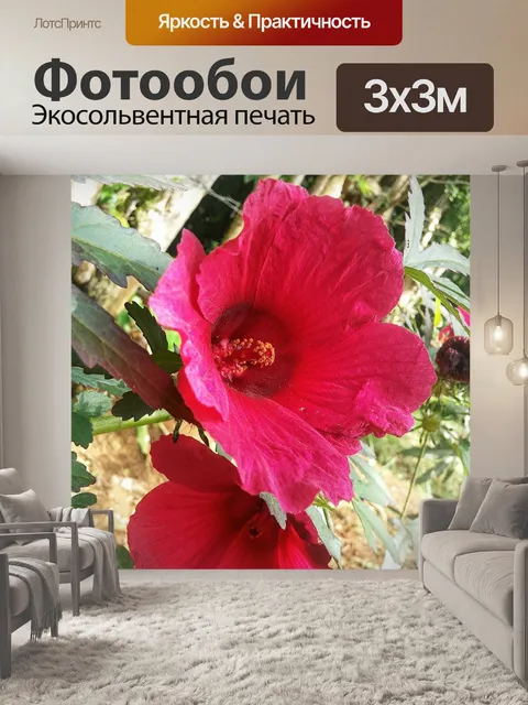 Фотообои Цветы