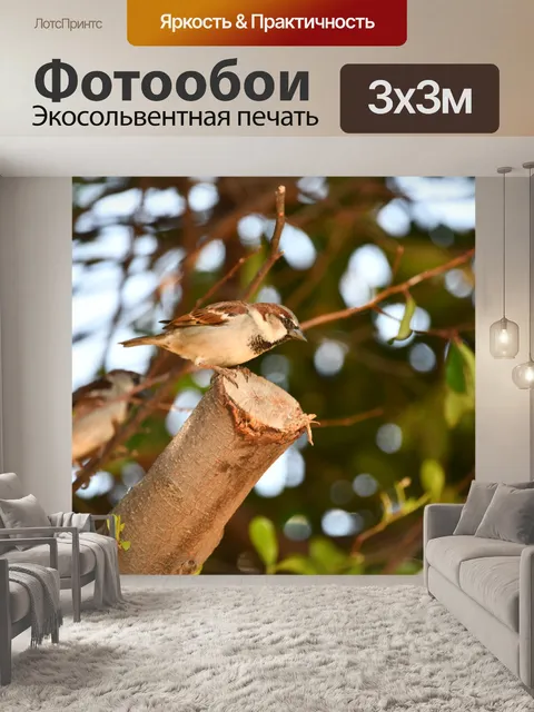 Фотообои Домовые воробьи
