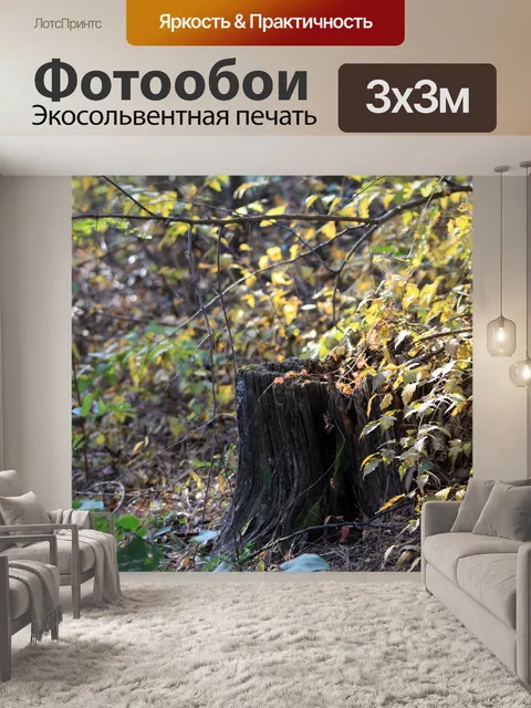 Фотообои Дерево