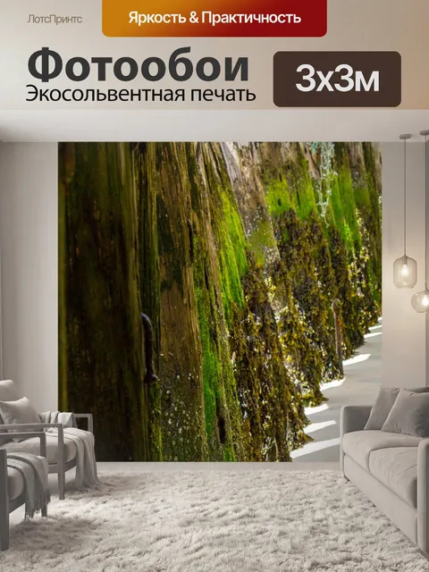 Фотообои Пляж