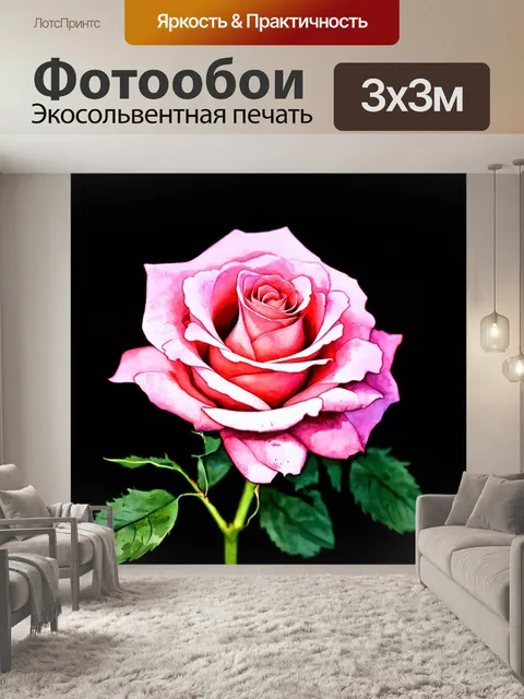 Фотообои розы в стиле акварель, элегантный минимализм, сосредоточенный на красоте одного цветка