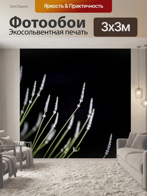 Фотообои лаванда