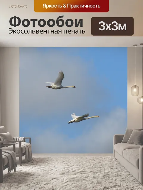 Фотообои Fly 3