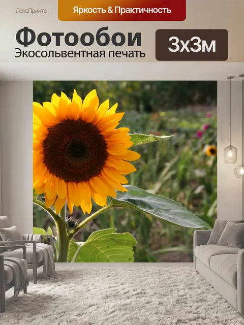 Фотообои Сад