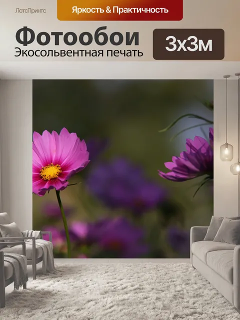 Фотообои Цветы космоса