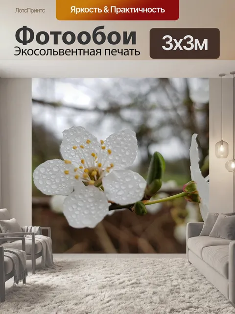 Фотообои Цветы дождь