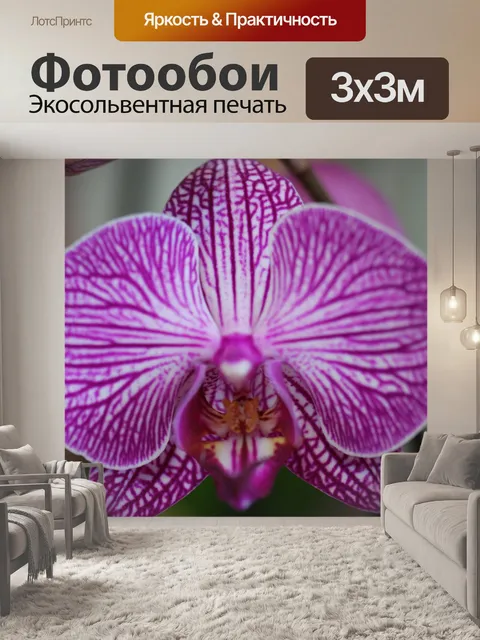 Фотообои Цветок