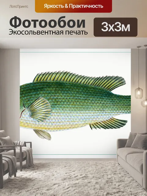 Фотообои Рыба тропических старинных искусства