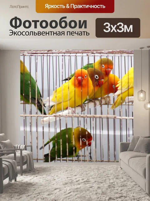Фотообои Птицы