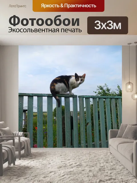 Фотообои Кот