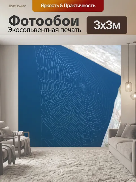 Фотообои Паутина