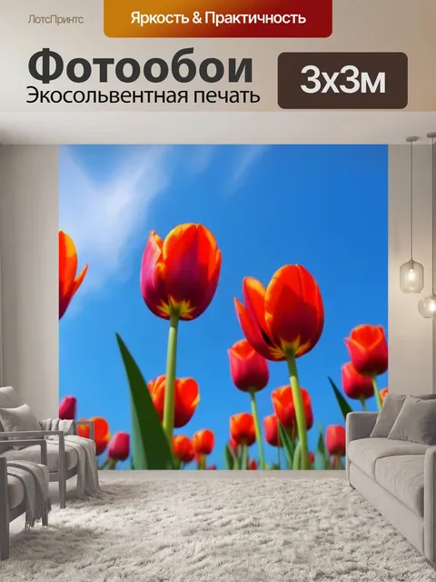 Фотообои тюльпаны на фоне голубого неба