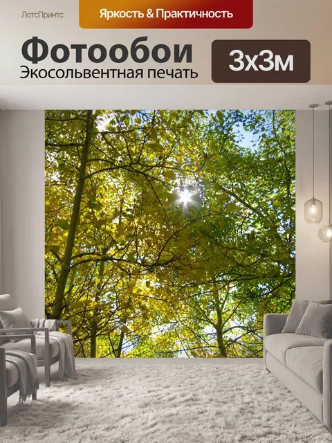 Фотообои Деревья