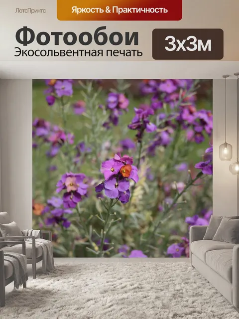 Фотообои Цветы Purple