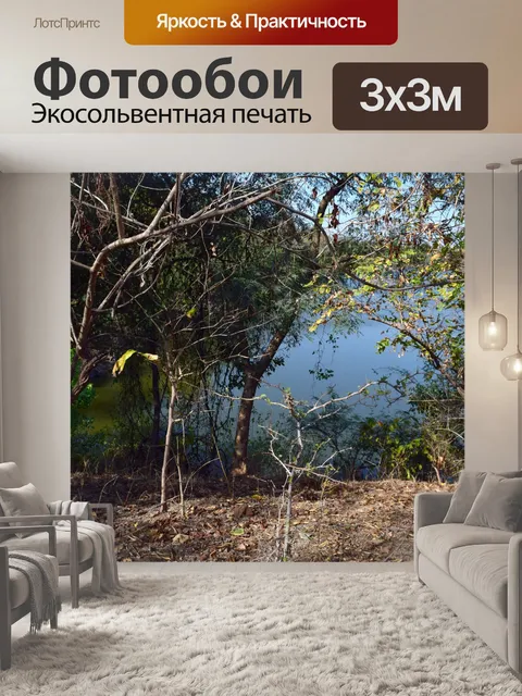 Фотообои Деревья и лес 12