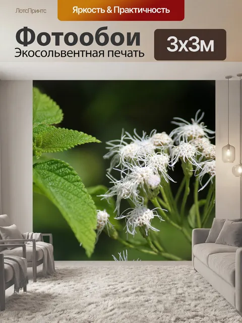 Фотообои белые ромашки и листьев