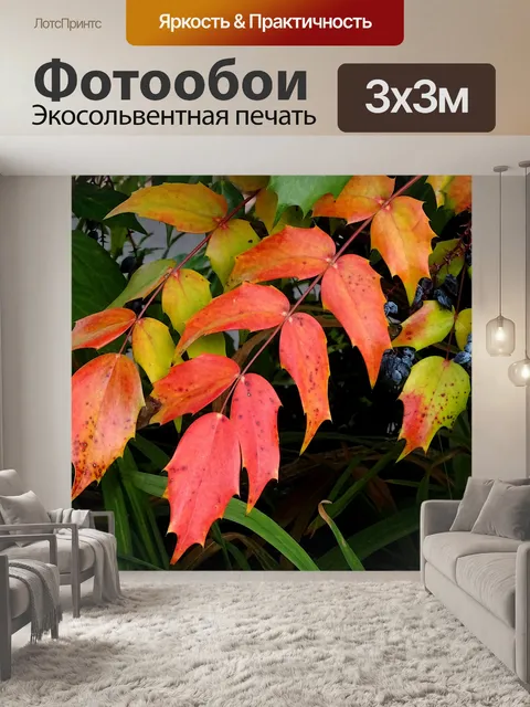 Фотообои Осень Листья Дерева