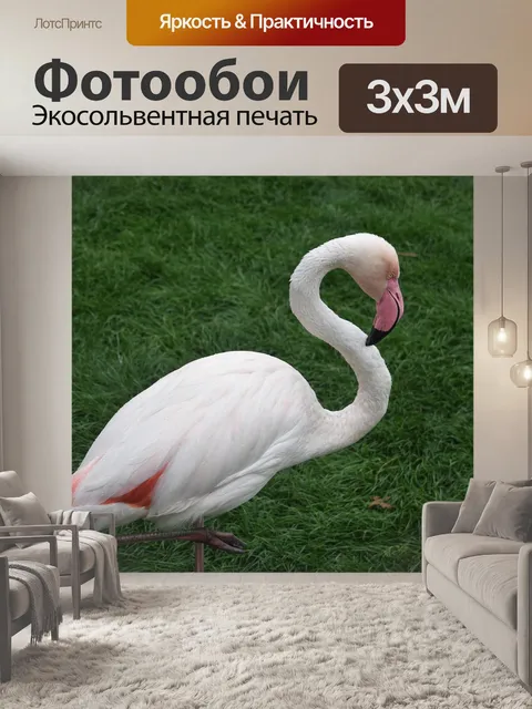 Фотообои Фламинго