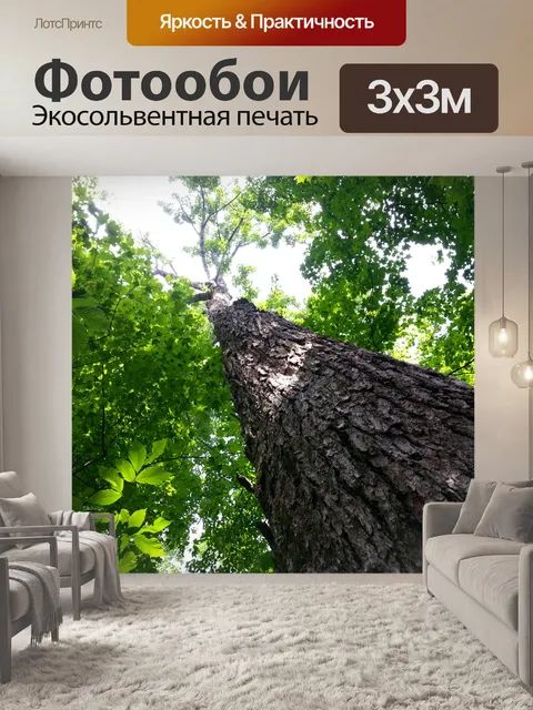 Фотообои Верхушка дерева