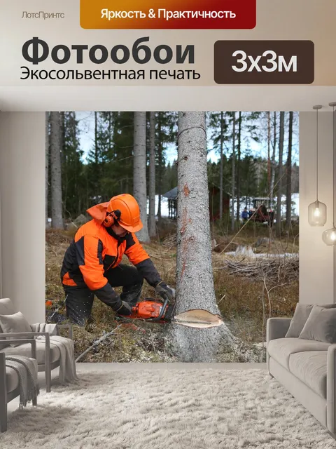 Фотообои Лес