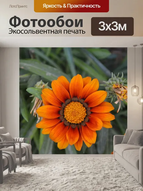 Фотообои Сад