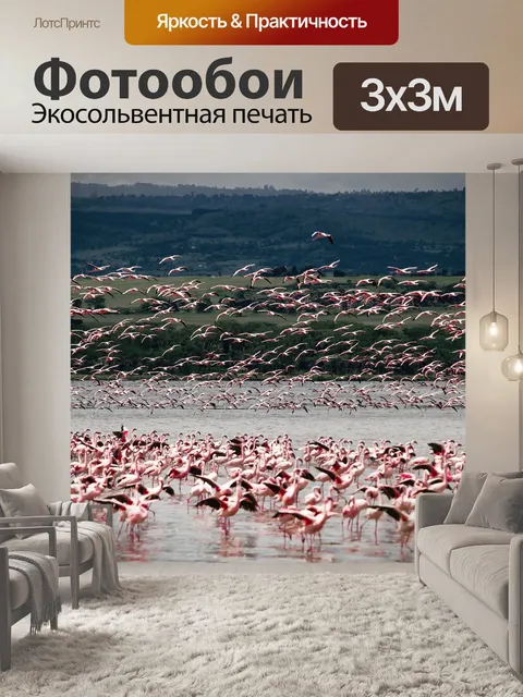 Фотообои Птица