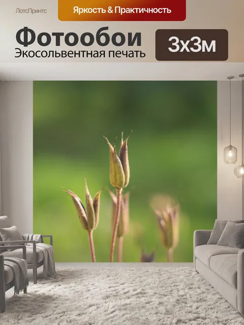 Фотообои Растение