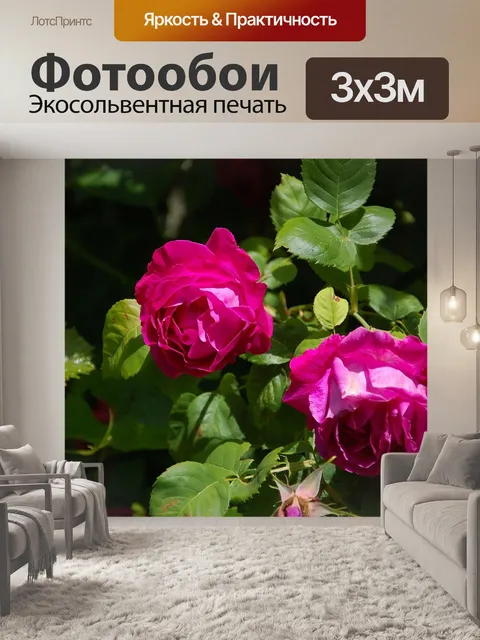 Фотообои Розы