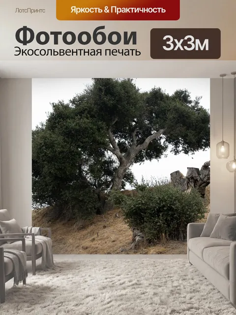 Фотообои Дерево