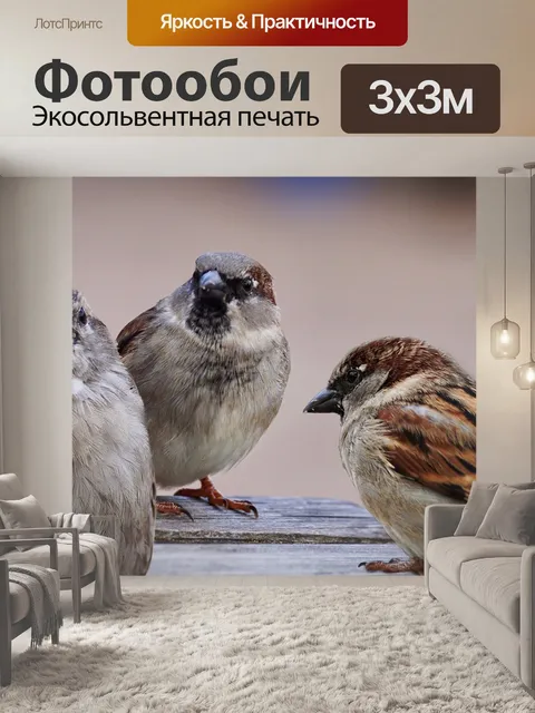 Фотообои Воробьи