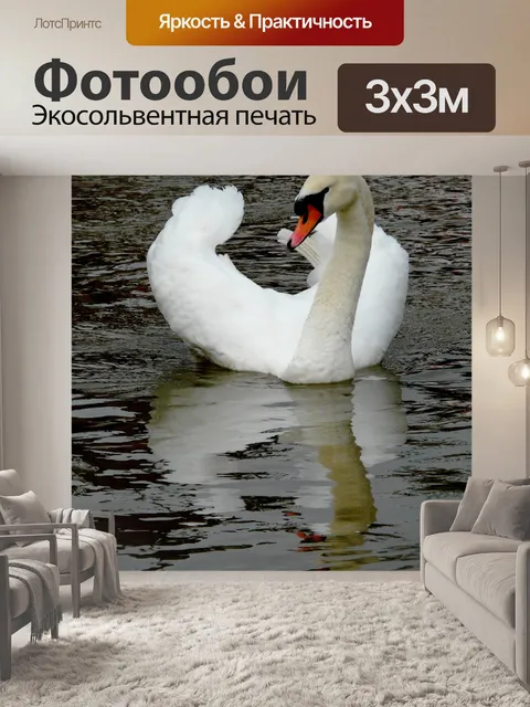 Фотообои Лебедь