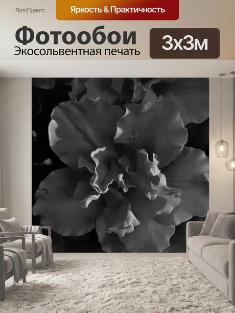 Фотообои Черно-белые камелии