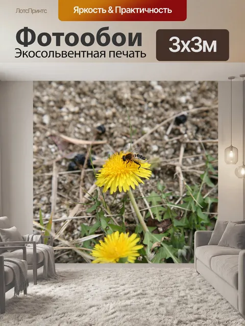 Фотообои На цветах