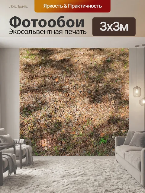 Фотообои Лес