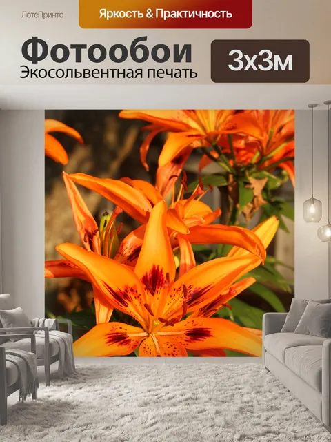 Фотообои Оранжевый цветы лилии